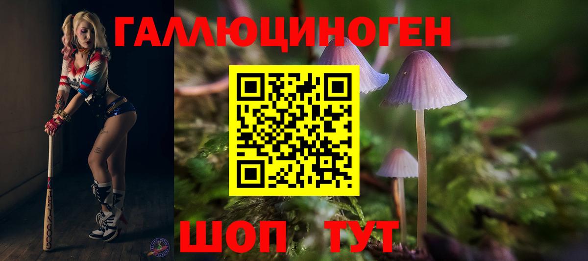 Псилоцибиновые грибы прущие грибы Узловая