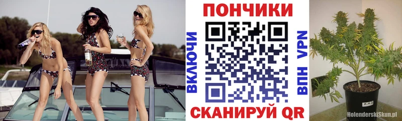 МАРИХУАНА Amnesia  Узловая 